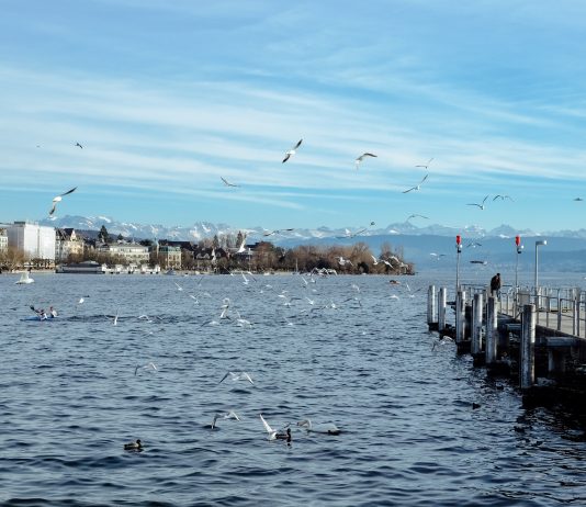 Pengalaman Tinggal di kota Zurich
