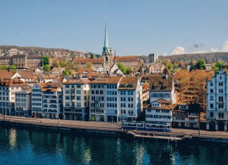Fellowship Neurointervensi Di Zurich