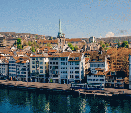 Fellowship Neurointervensi Di Zurich