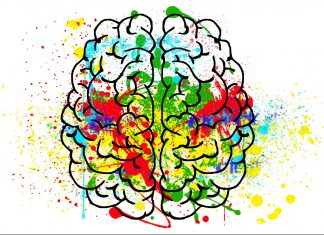 Kumpulan Situs Informasi Tentang Neurologi Bali