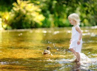 Shiny Object Syndrome